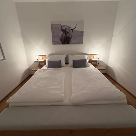 Apartmán Fellsattler *