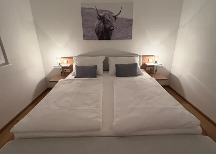 Apartmán Fellsattler *